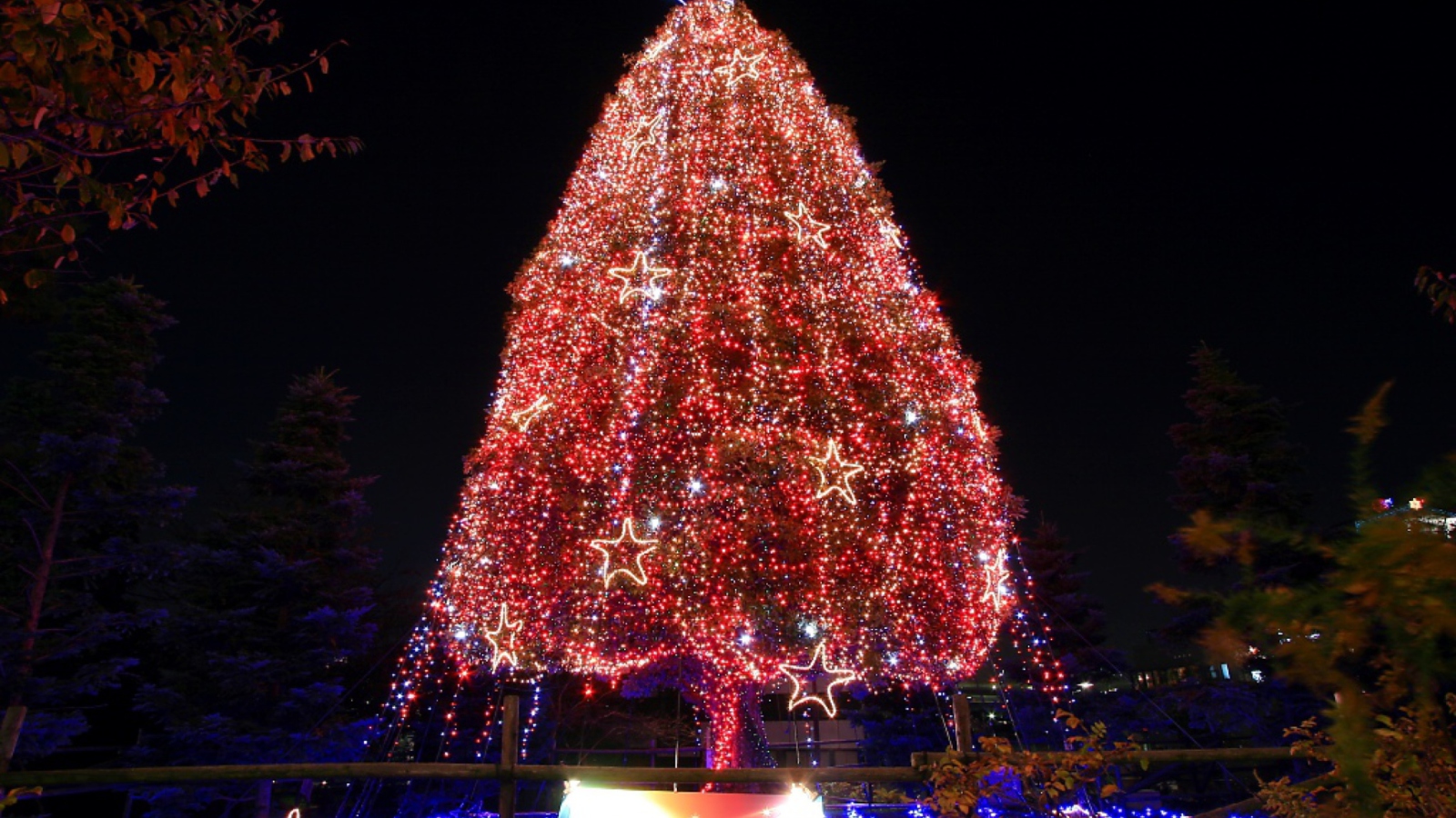 Sfondi Christmas Tree 1600x900