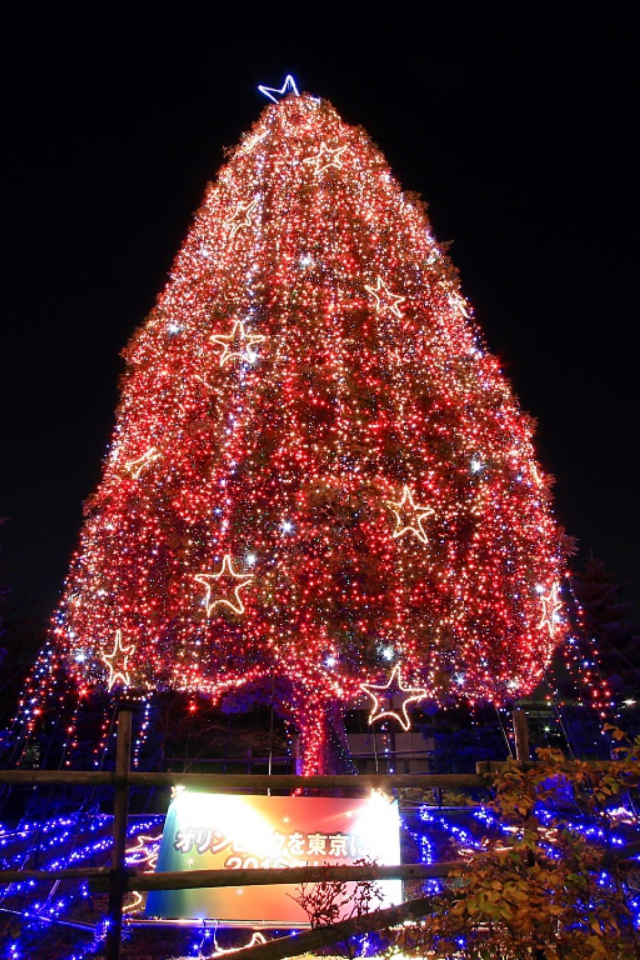 Обои Christmas Tree 640x960