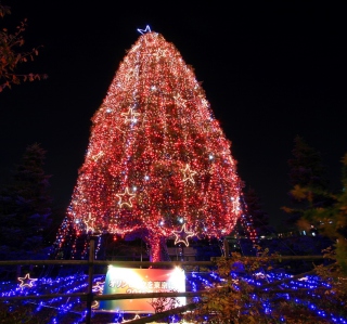 Christmas Tree sfondi gratuiti per Samsung B159 Hero Plus