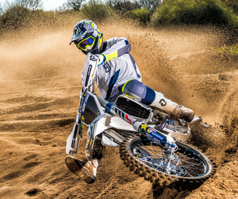 Motocross Rally screenshot #1 480x400