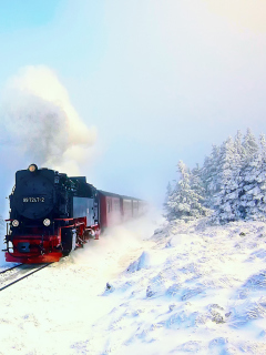 Fondo de pantalla Winter Train Ride 240x320