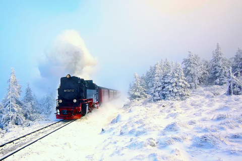 Das Winter Train Ride Wallpaper 480x320