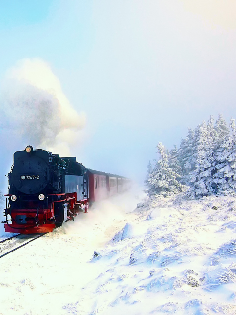 Обои Winter Train Ride 480x640