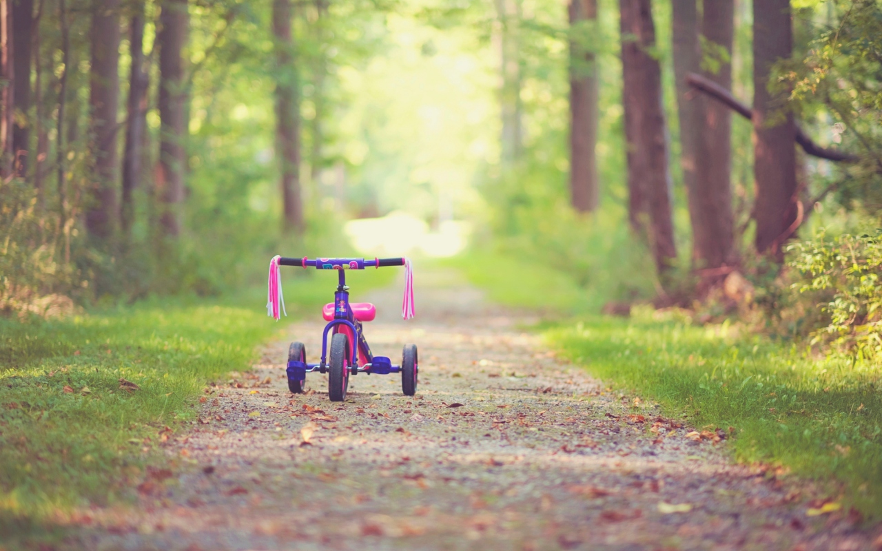Child's Bicycle wallpaper 1280x800
