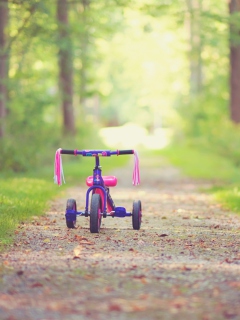 Sfondi Child's Bicycle 240x320