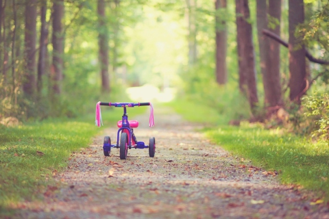 Child's Bicycle wallpaper 480x320