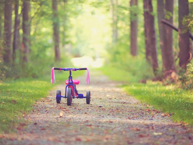Child's Bicycle wallpaper 640x480