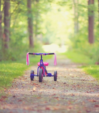 Child's Bicycle - Obrázkek zdarma pro Samsung i8910 Omnia HD