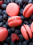 Обои Berries Macaron 132x176