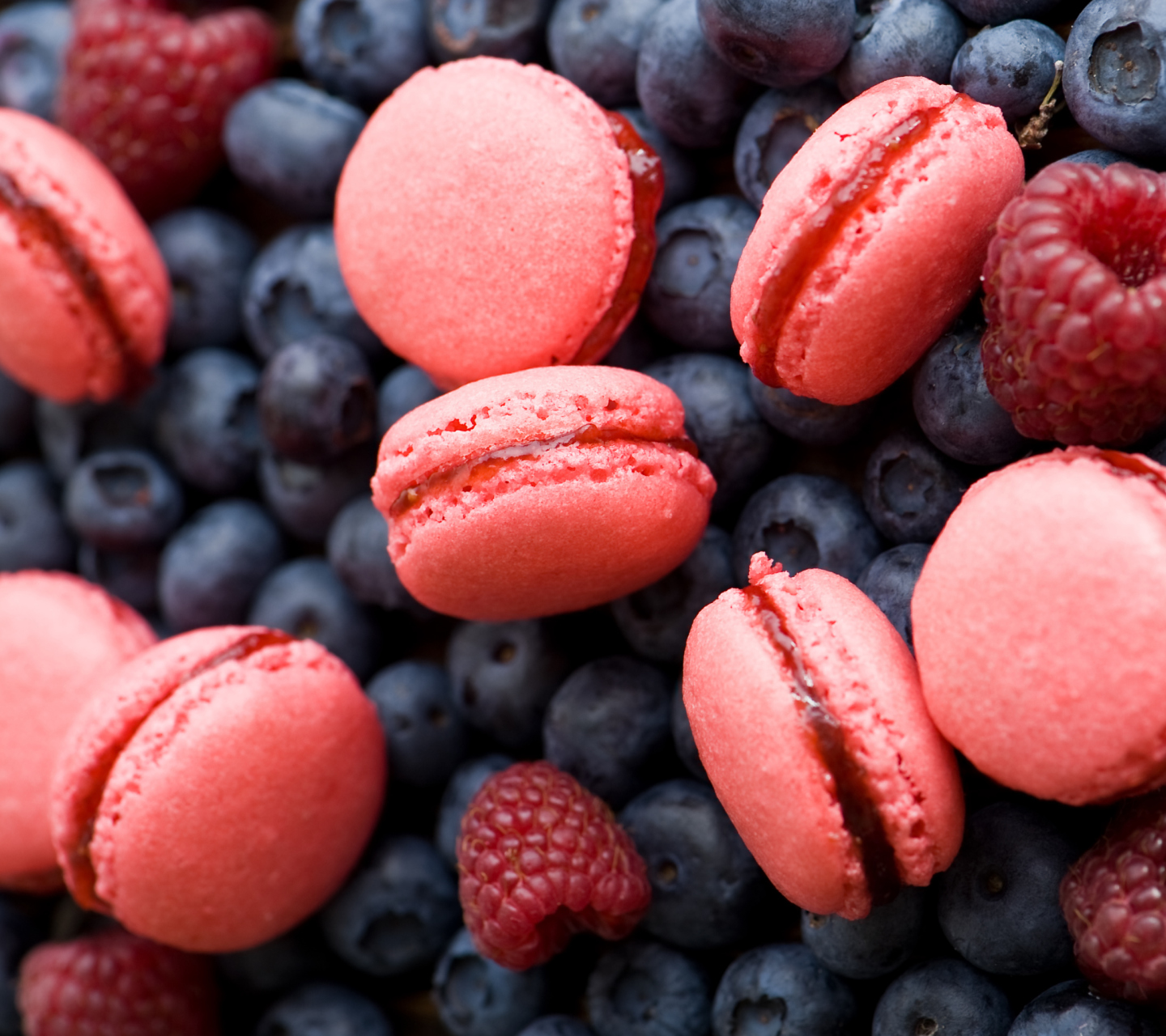Berries Macaron wallpaper 1440x1280
