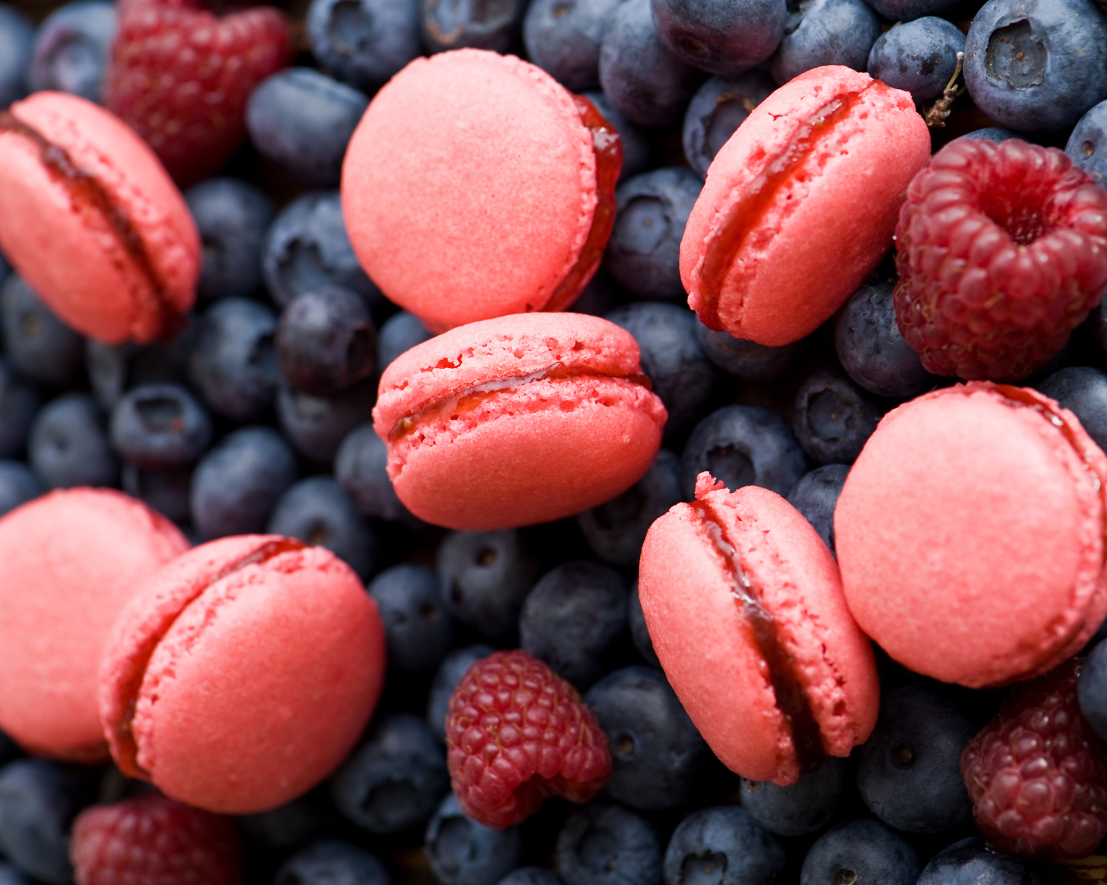 Berries Macaron screenshot #1 1600x1280