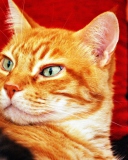 Fondo de pantalla Ginger Cat 128x160