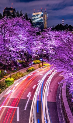 Screenshot №1 pro téma Purple sakura in Japan 240x400