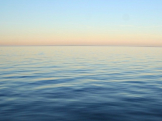 Ocean screenshot #1 320x240
