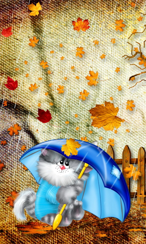 Autumn Cat wallpaper 480x800