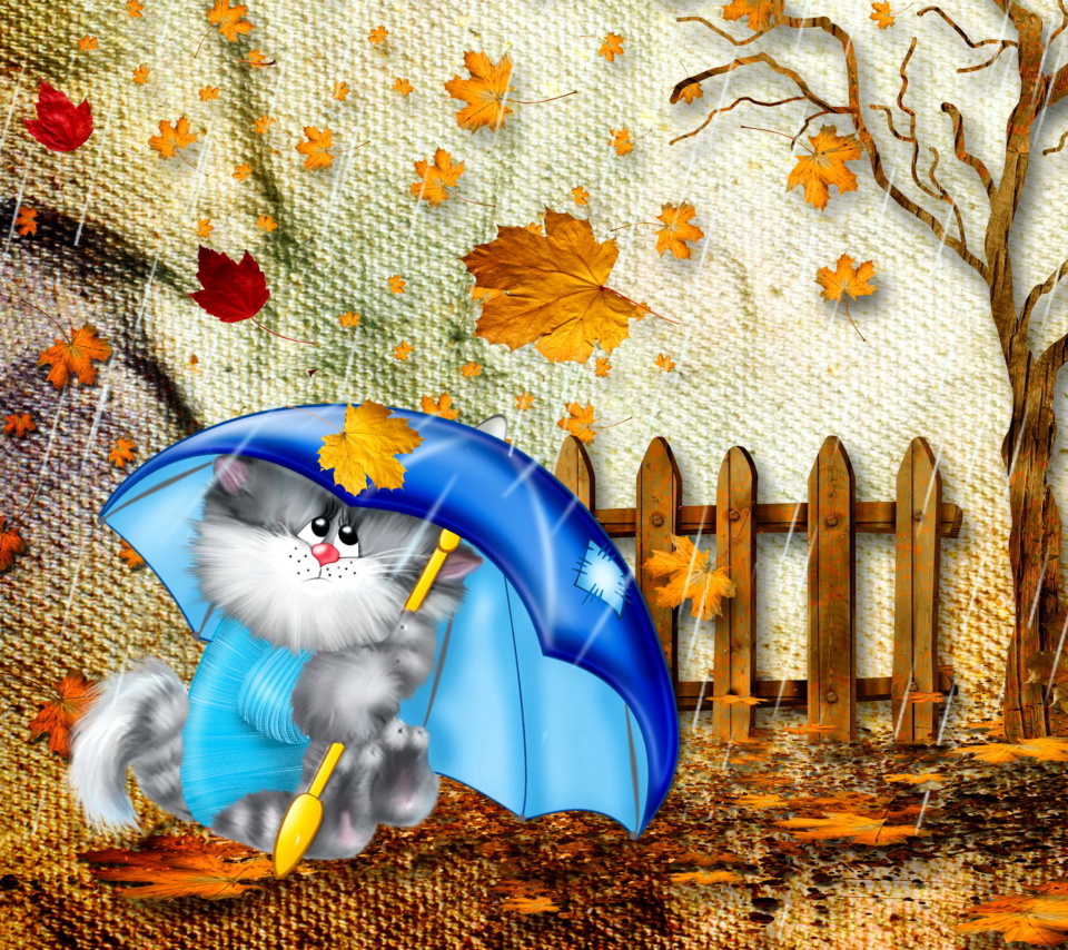 Autumn Cat wallpaper 960x854