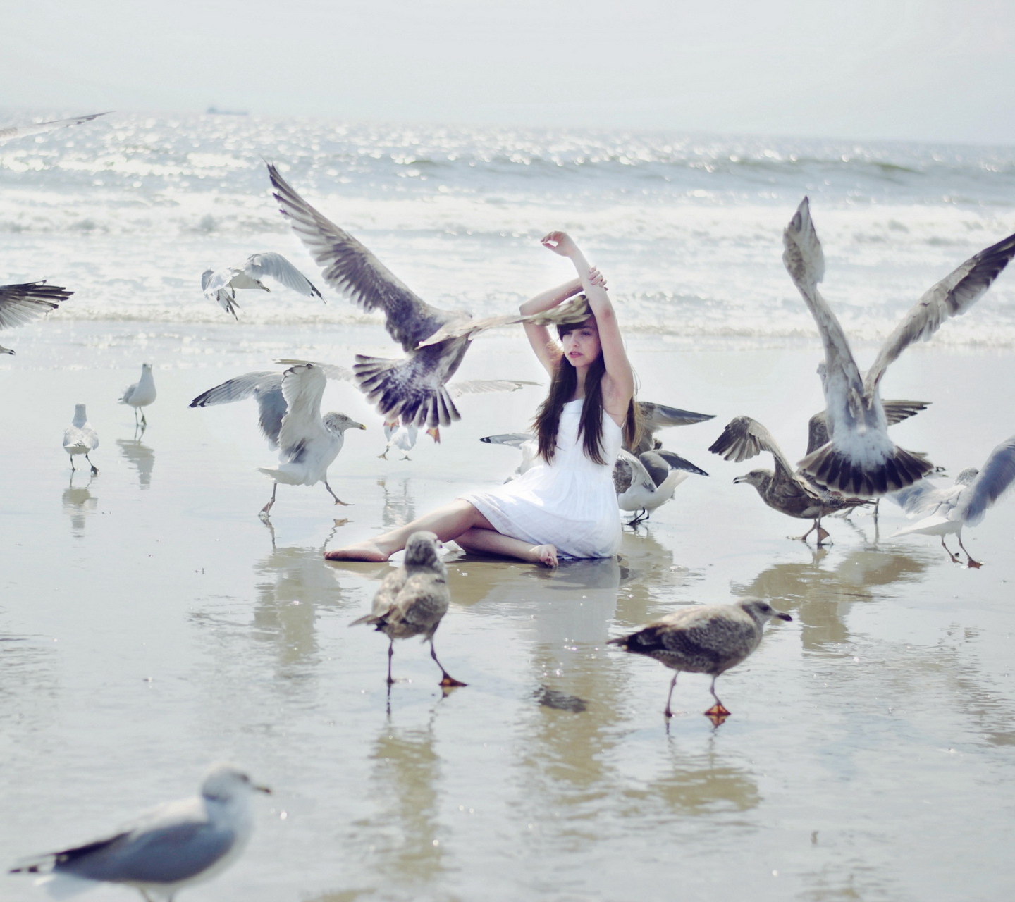 Das Girl And Birds At Sea Coast Wallpaper 1440x1280