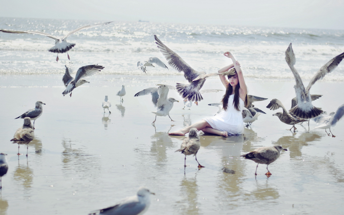 Fondo de pantalla Girl And Birds At Sea Coast 1440x900