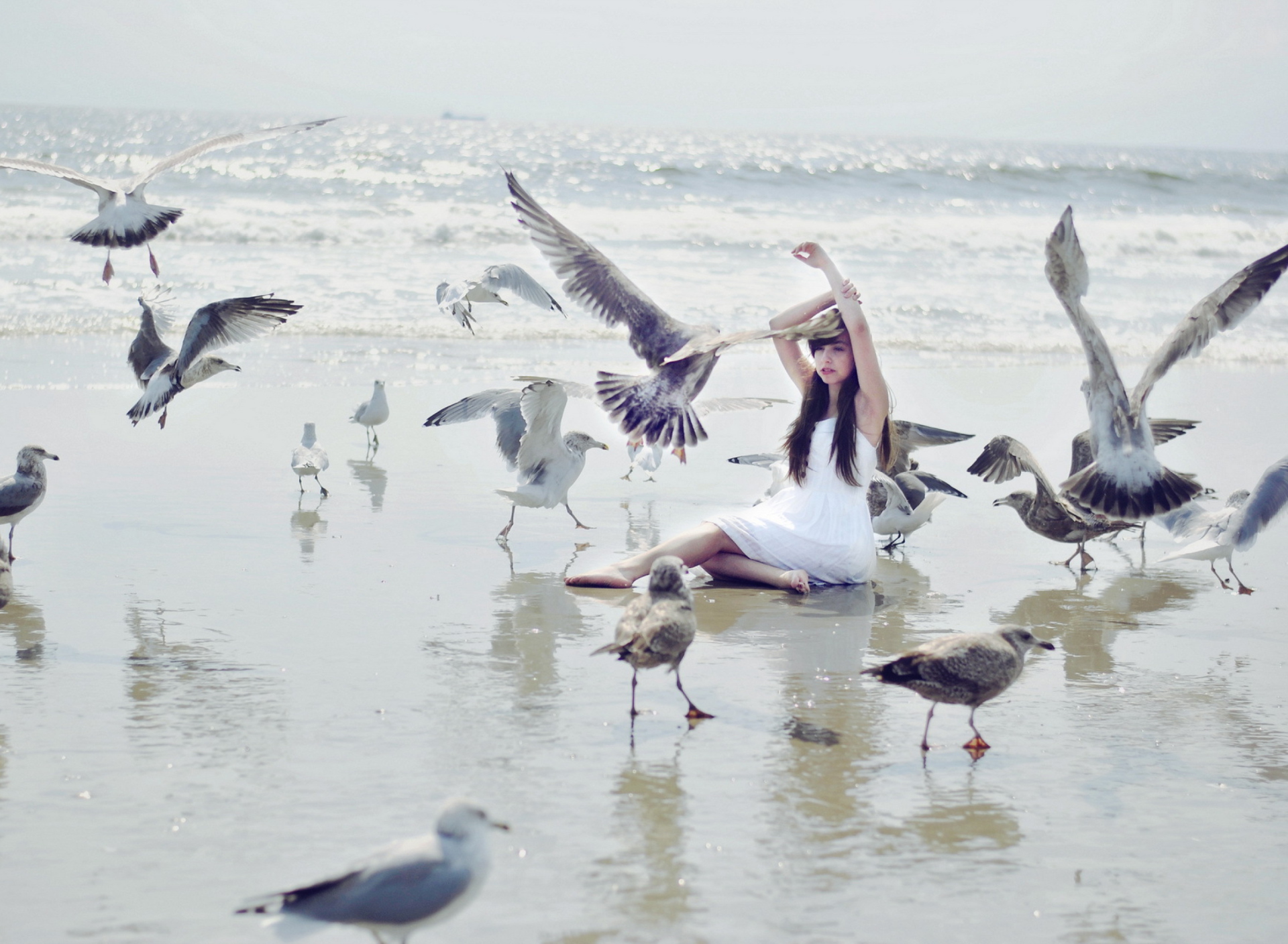 Обои Girl And Birds At Sea Coast 1920x1408