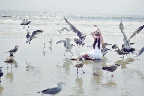 Обои Girl And Birds At Sea Coast 480x320