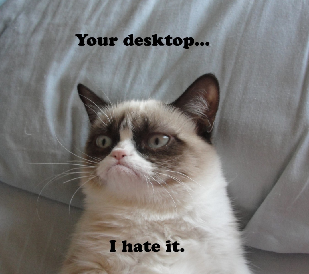 Обои Grumpy Cat 1080x960