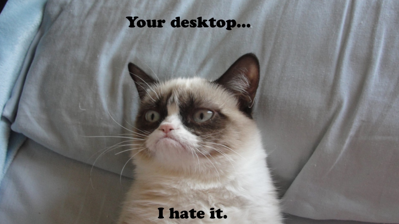 Das Grumpy Cat Wallpaper 1280x720