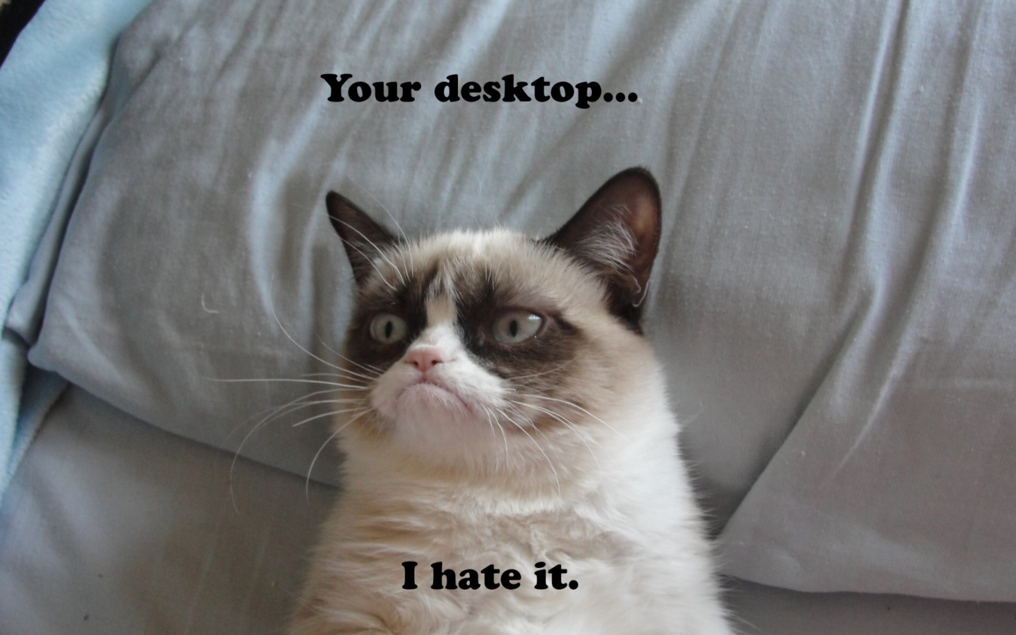 Screenshot №1 pro téma Grumpy Cat 1440x900