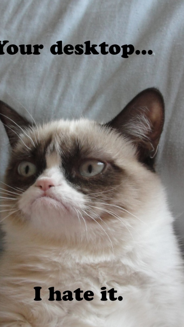 Grumpy Cat wallpaper 640x1136