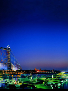 Dubai Beach screenshot #1 240x320