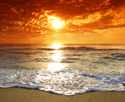 Summer Beach Sunset screenshot #1 176x144