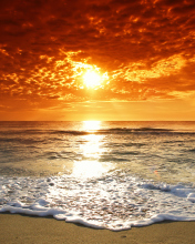 Fondo de pantalla Summer Beach Sunset 176x220