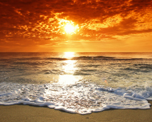 Summer Beach Sunset wallpaper 220x176