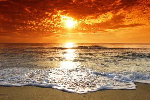 Das Summer Beach Sunset Wallpaper 480x320