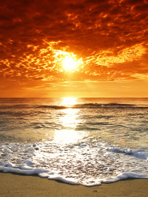 Обои Summer Beach Sunset 480x640