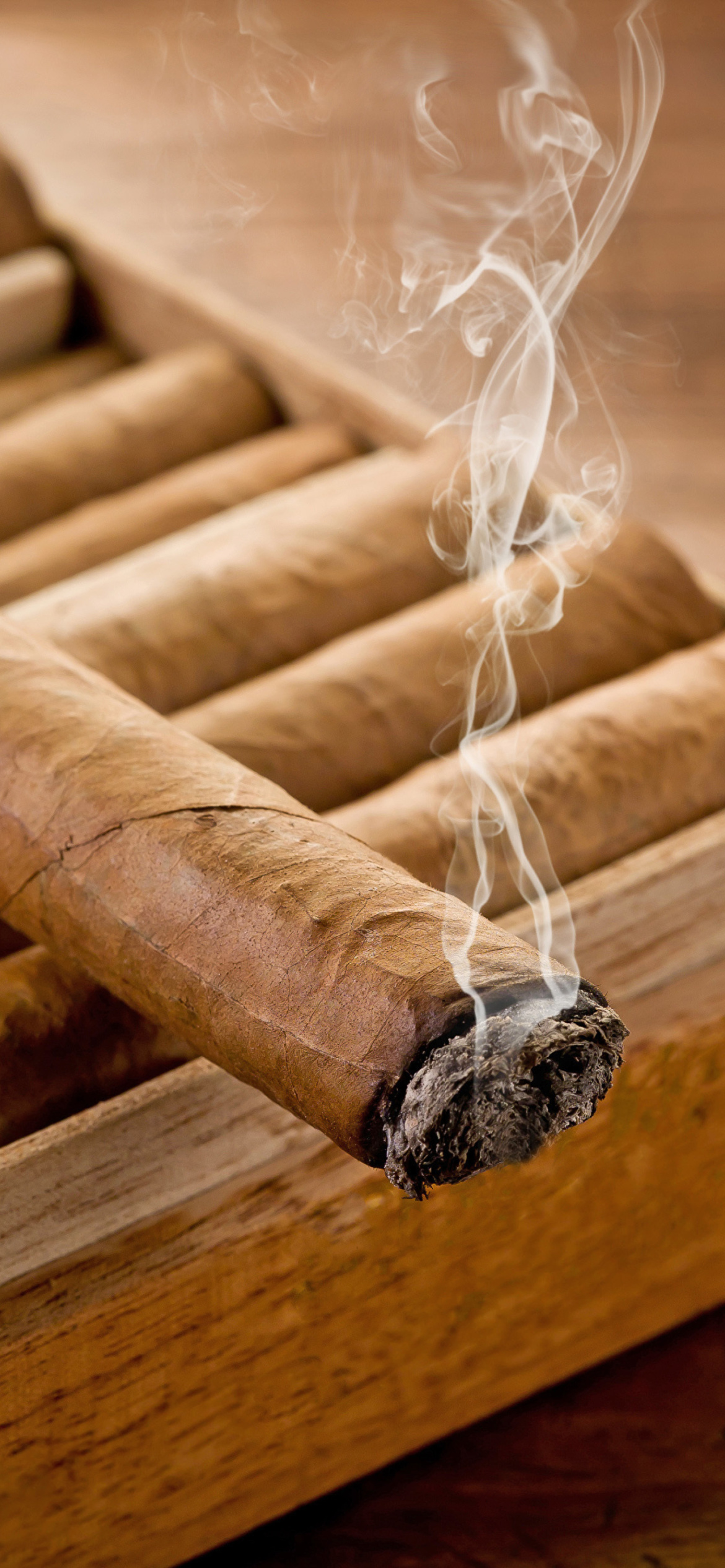 Cuban Cigar Cohiba wallpaper 1170x2532