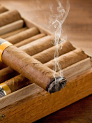 Fondo de pantalla Cuban Cigar Cohiba 132x176