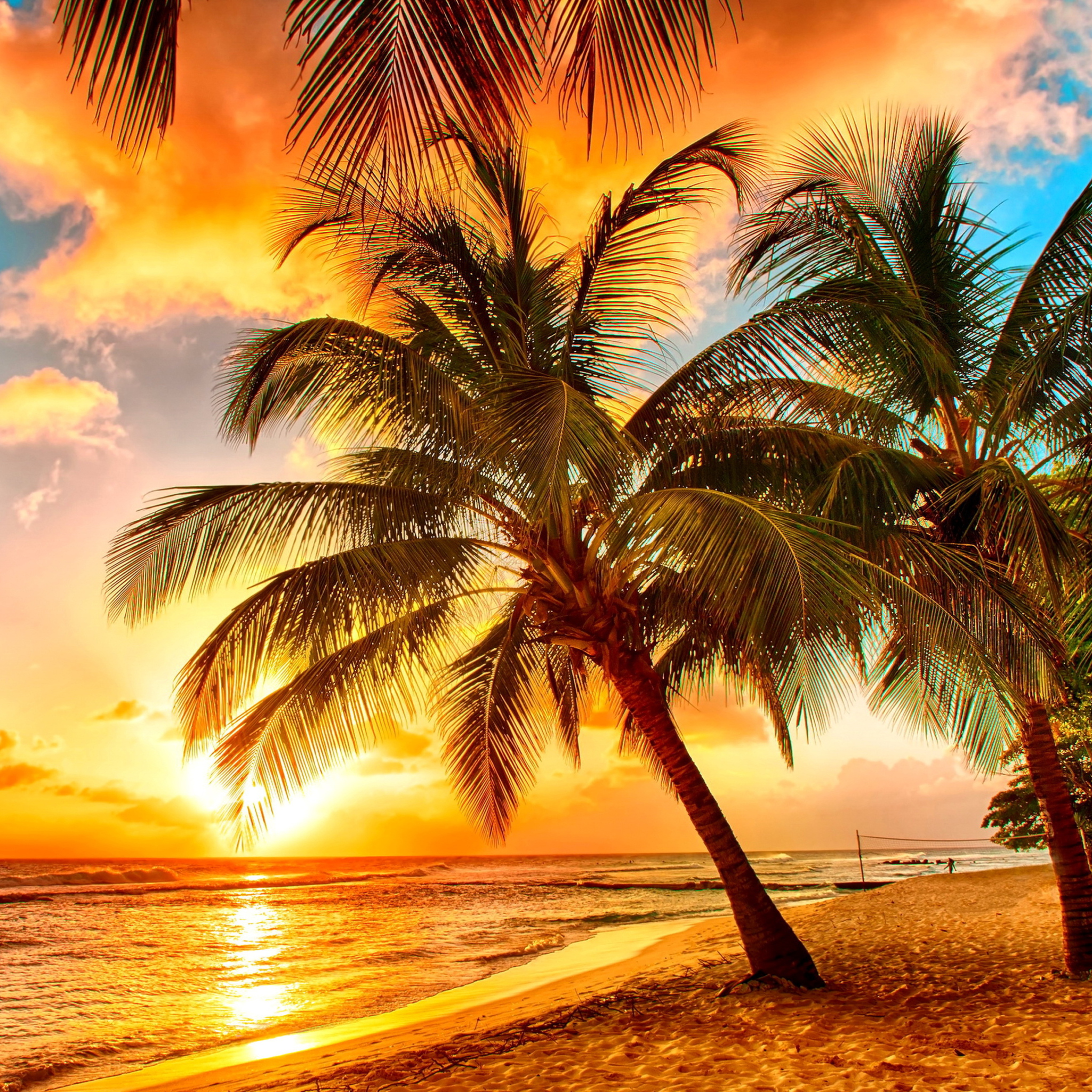 Golden Sunset On Bali, Indonesia screenshot #1 2048x2048