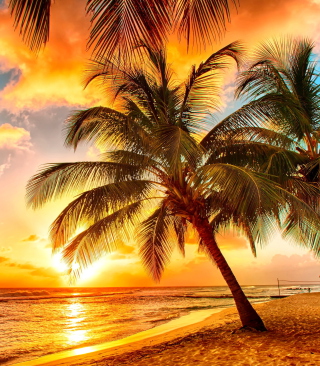 Kostenloses Golden Sunset On Bali, Indonesia Wallpaper für Nokia C2-03