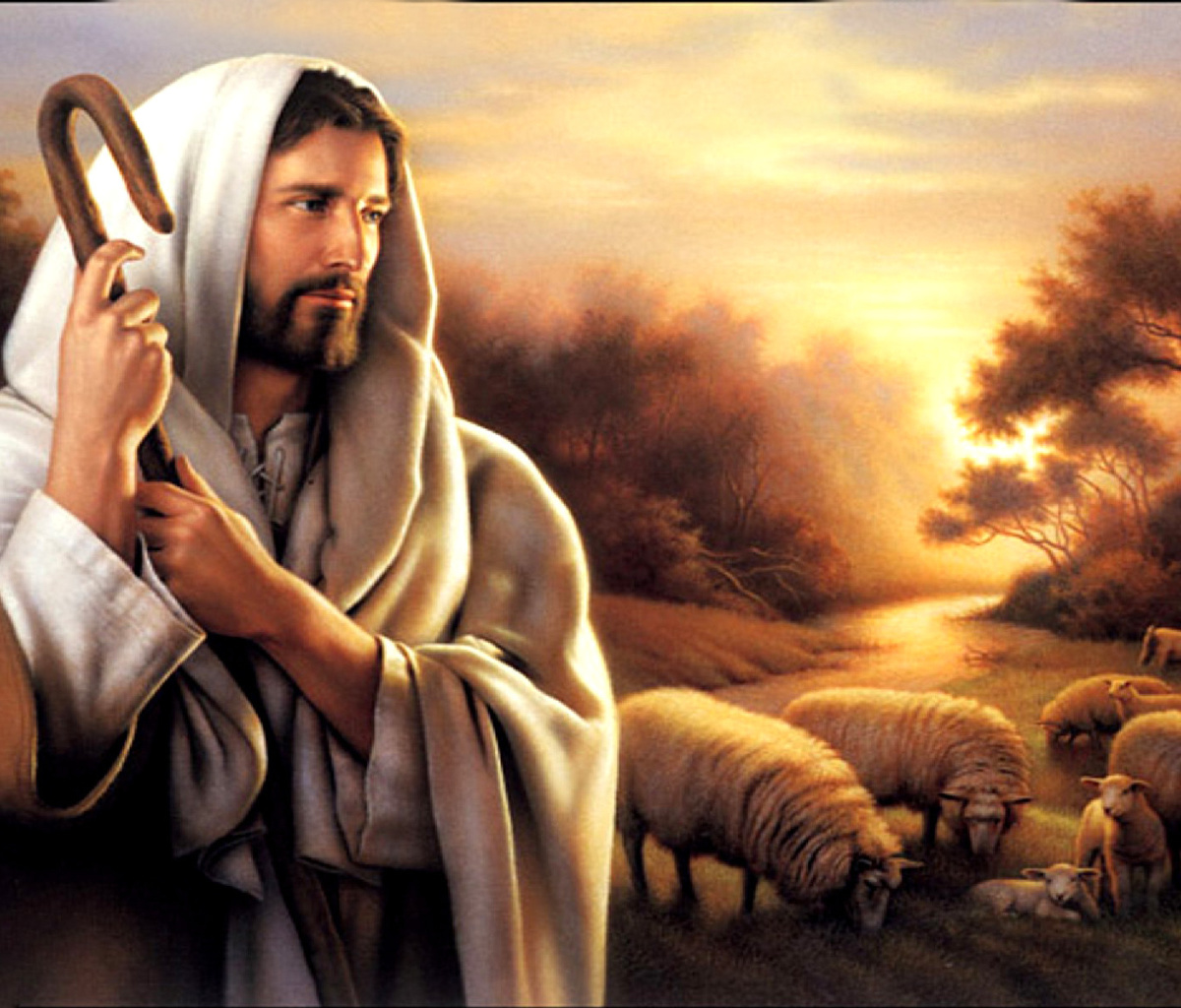 Das Jesus Good Shepherd Wallpaper 1200x1024