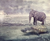 Elephant and Turtle wallpaper 176x144