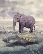 Elephant and Turtle wallpaper 176x220