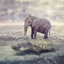 Elephant and Turtle wallpaper 208x208