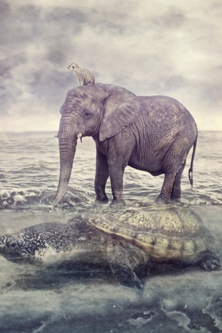 Elephant and Turtle wallpaper 320x480