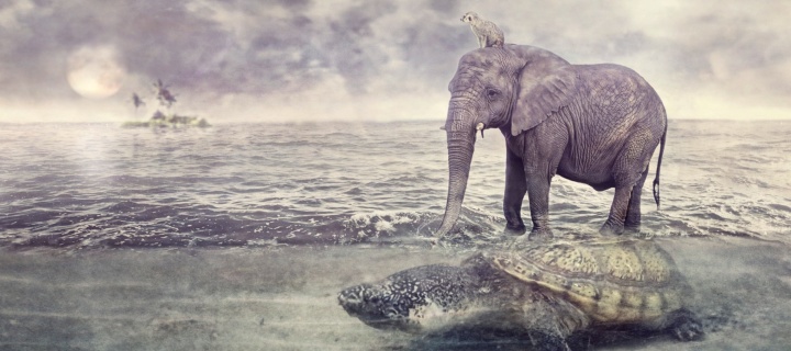 Das Elephant and Turtle Wallpaper 720x320