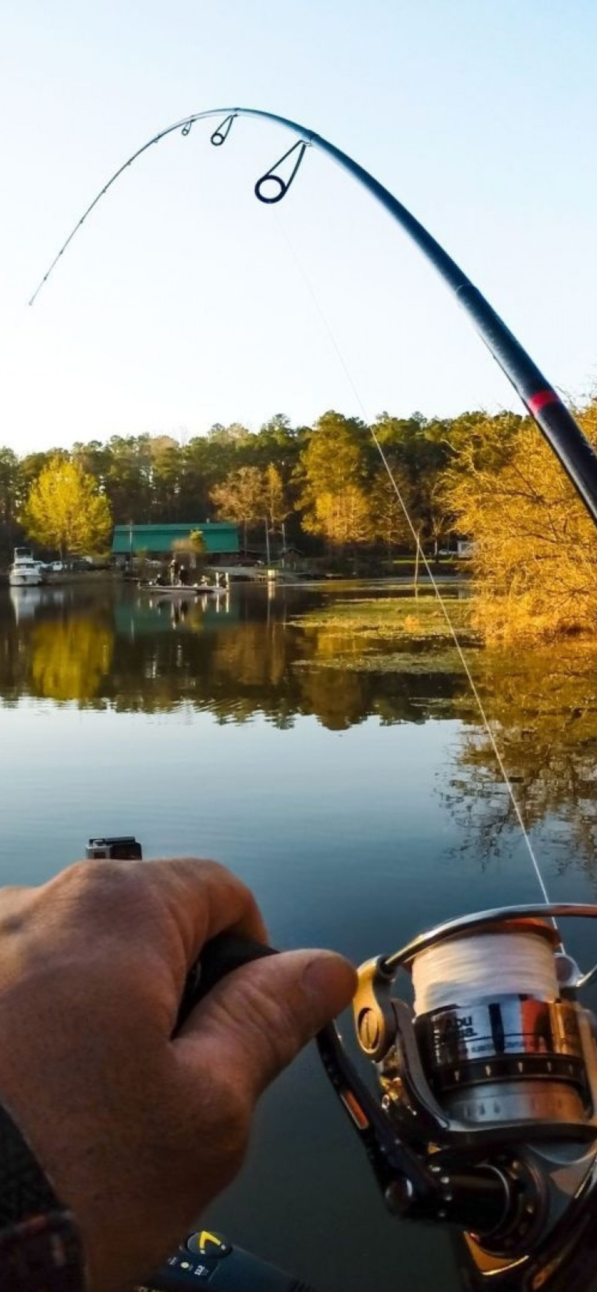 Fishing in autumn wallpaper 1170x2532