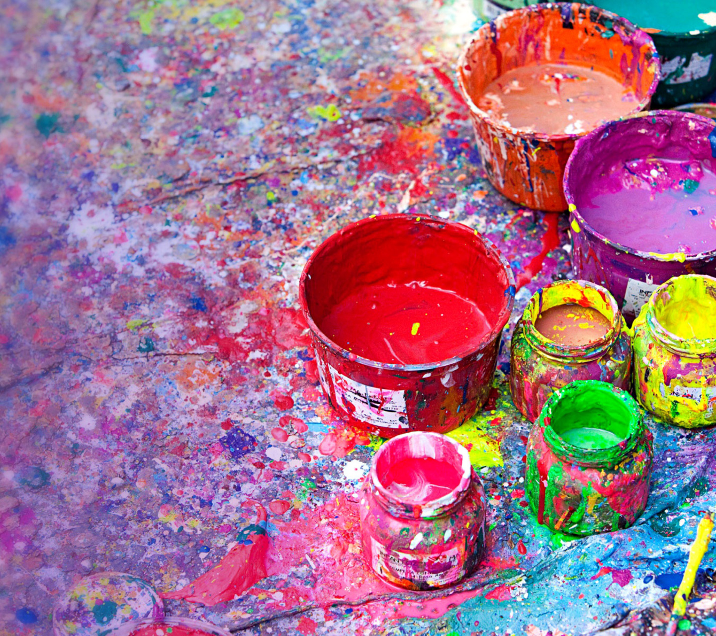 Paintings for Holi Festival screenshot #1 1440x1280