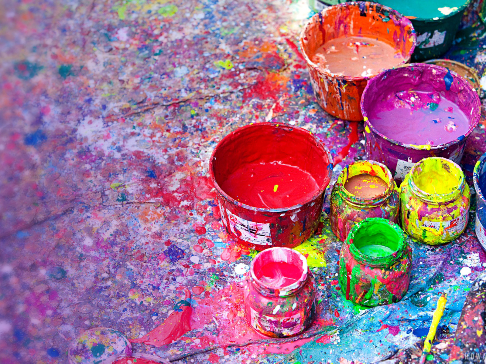 Paintings for Holi Festival wallpaper 1600x1200