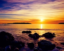 Fondo de pantalla Golden Sunrise Beach 220x176