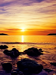 Golden Sunrise Beach wallpaper 240x320