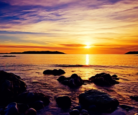 Golden Sunrise Beach screenshot #1 480x400